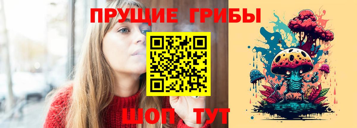 Псилоцибиновые грибы прущие грибы Минеральные Воды